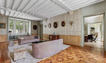 Elegant Urban Mansion 3