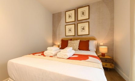 Elegant Quarters Centro 8