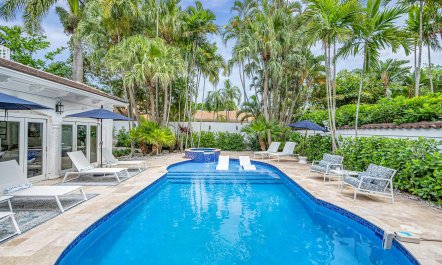 Palm Trees & Tiki Nights