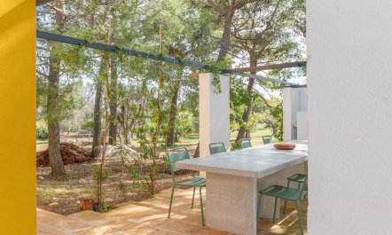 The Olive Essentials 4