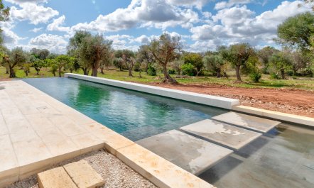 The Olive Essentials 2