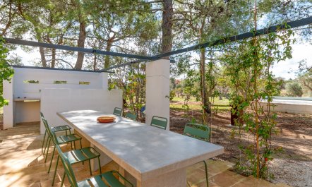 The Olive Essentials 5