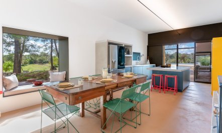 The Olive Essentials 1