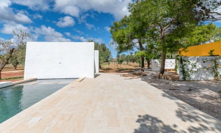 The Olive Essentials 3