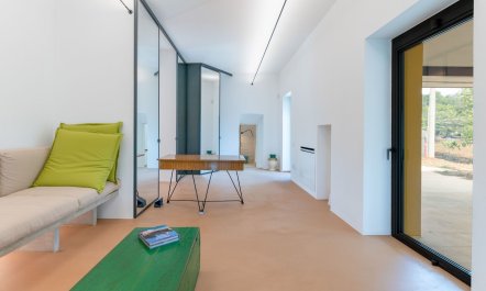 The Olive Essentials 7