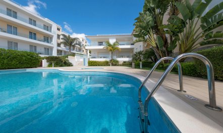 Atlantic Coast Waves 1