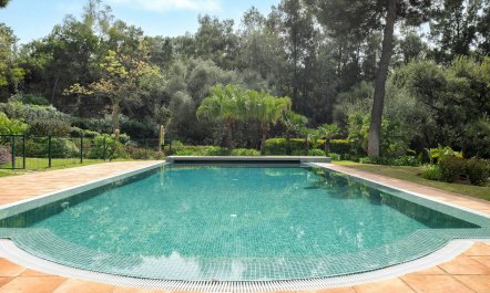 Magical Mountain Views 3