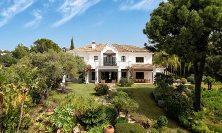 Magical Mountain Views