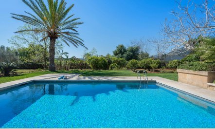 Stone Patio Garden 6