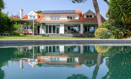 Scenic Garden Sanctuary