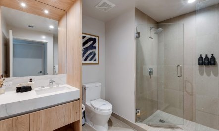 Coconuts and Coral 7