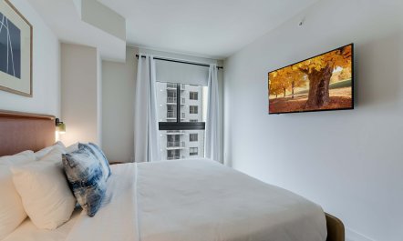 Coconuts and Coral 6