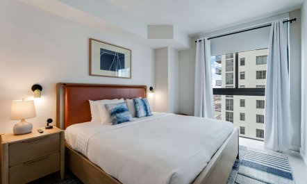 Coconuts and Coral 5