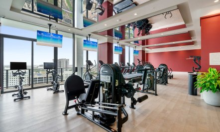 Coconuts and Coral 9