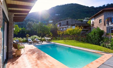 Sorrento's Secret