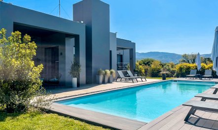 Orange Blossom & Honey