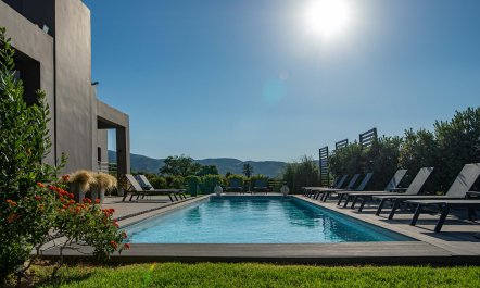 Orange Blossom & Honey 2