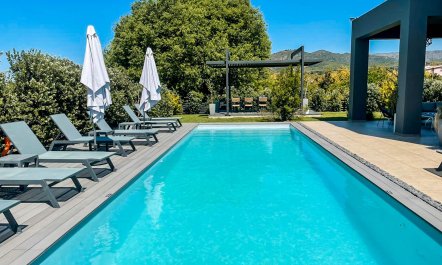 Orange Blossom & Honey 1