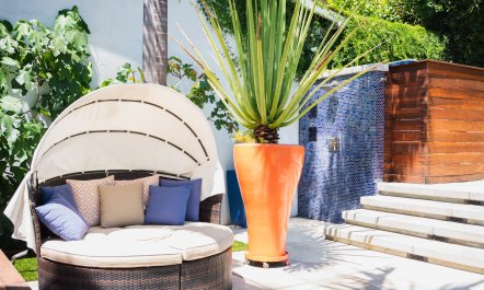 Hollywood Swinging 8