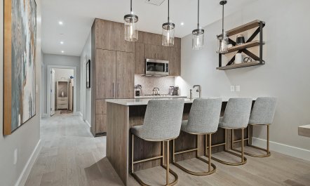 Silent Majesty Haven 8