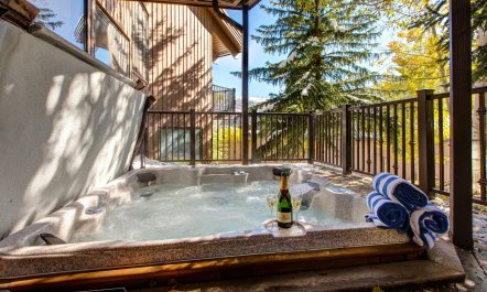 Premier Mountain Residence 1