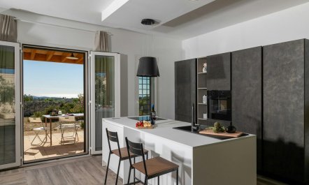 The Valley of the Olives 5