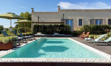 The Valley of the Olives