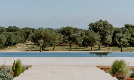 Golden Garden Grove 4