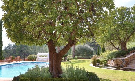 Grand Emerald Alcance 8