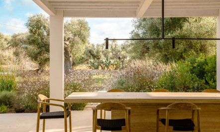 Antique Olive Grove 6