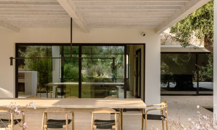 Antique Olive Grove 1