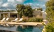 Antique Olive Grove 3