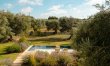 Antique Olive Grove 4