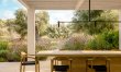 Antique Olive Grove 6