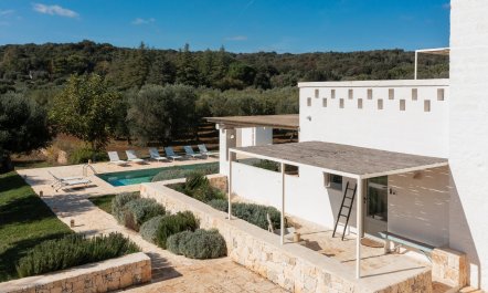 The Southern Light 7