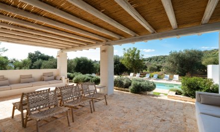 The Southern Light 6