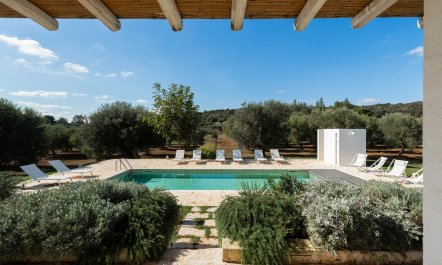 The Southern Light 2