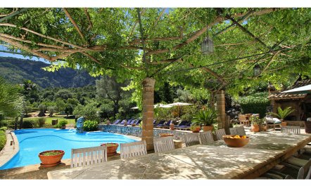 Meet Me in the Orange Grove 2