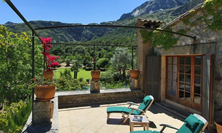 Meet Me in the Orange Grove 3