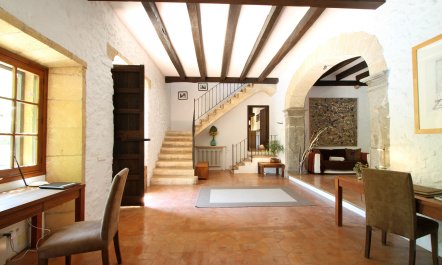 Meet Me in the Orange Grove 9