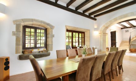 Meet Me in the Orange Grove 6