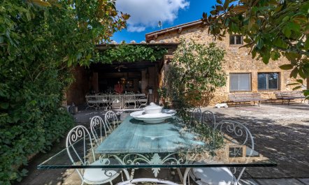 Beyond The Vineyards 4