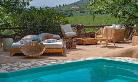Beyond The Vineyards 5