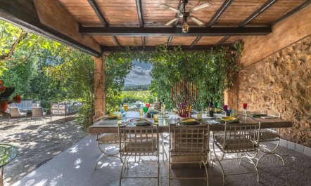 Beyond The Vineyards 6