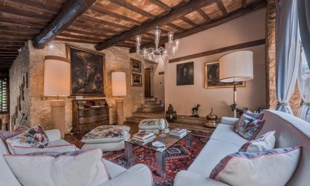 Beyond The Vineyards 1