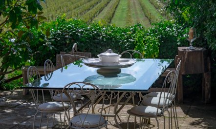 Beyond The Vineyards 5