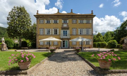 The Aristocrat&rsquo;s Garden