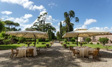 The Aristocrat&rsquo;s Garden 1