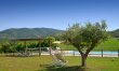 Olive Hills Vista 6