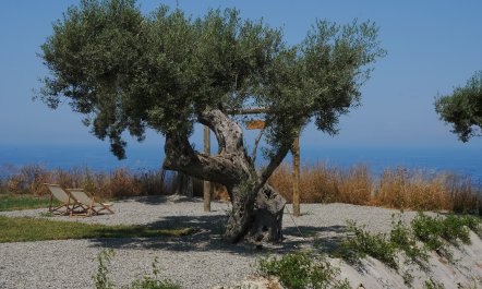 Cliffs Above Tropea 6